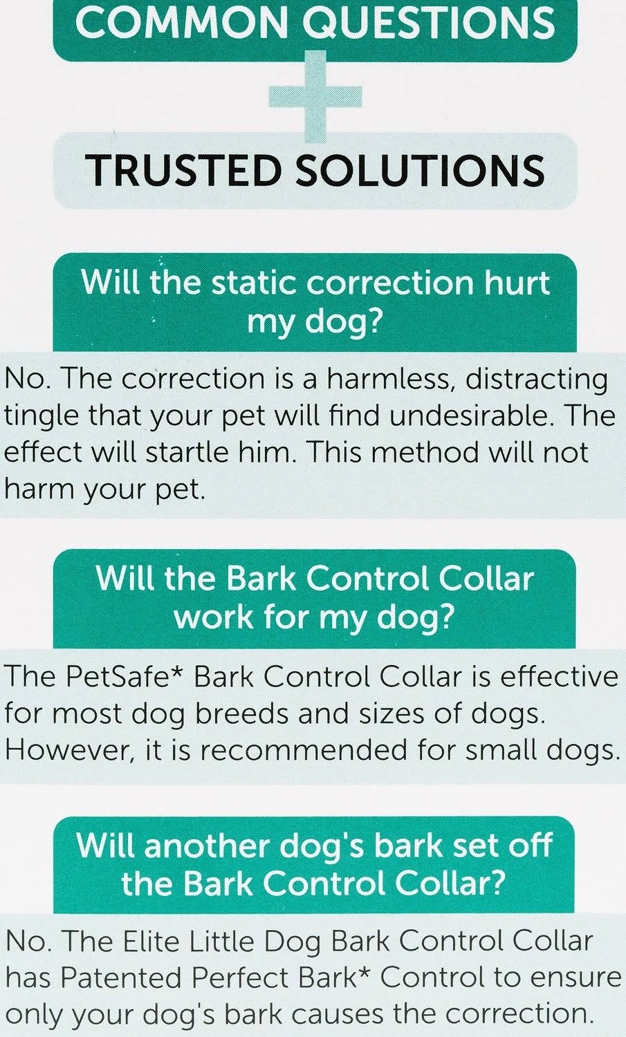 Little Dog Bark Control Collar D39848