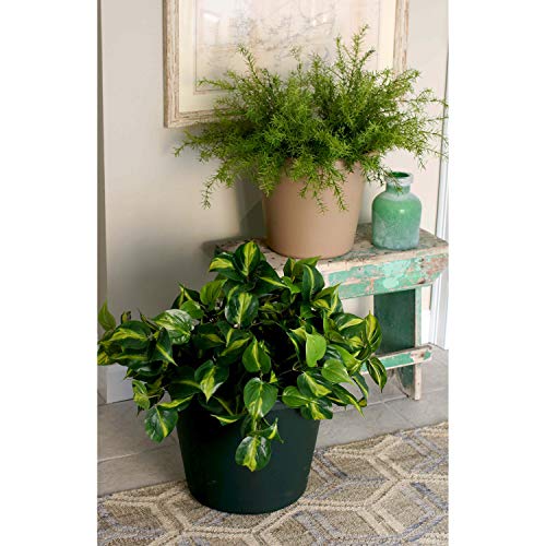 24 Inch Round Slate Blue Plastic Planter O954410