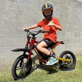 36V 750W Electric Dirt Bike with 16" Pneumatic Tires E69981