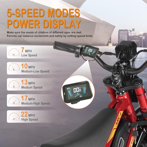 36V 750W Electric Dirt Bike with 16" Pneumatic Tires E69981